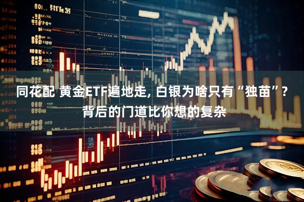同花配 黄金ETF遍地走, 白银为啥只有“独苗”? 背后的门道比你想的复杂